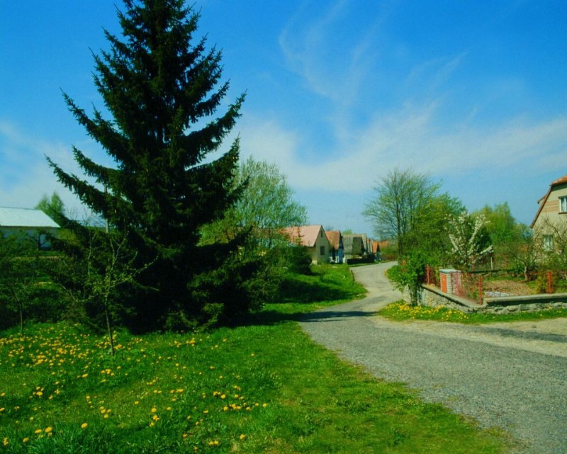 Vyklízení Kořenec